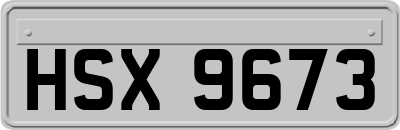 HSX9673