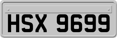 HSX9699