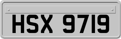 HSX9719