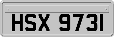 HSX9731