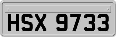 HSX9733
