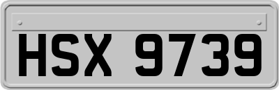 HSX9739