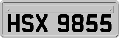 HSX9855