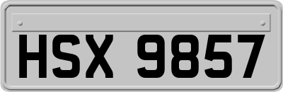 HSX9857