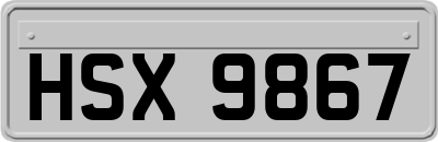 HSX9867