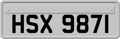 HSX9871