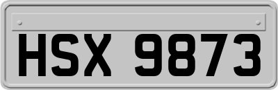 HSX9873