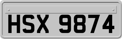 HSX9874