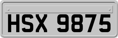 HSX9875