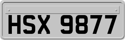 HSX9877
