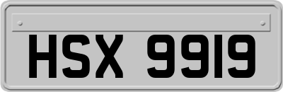 HSX9919