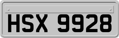 HSX9928
