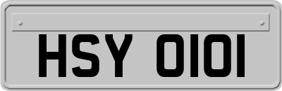HSY0101