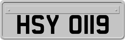 HSY0119