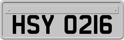HSY0216