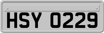 HSY0229