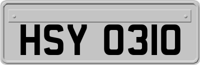 HSY0310