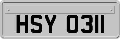 HSY0311