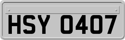HSY0407