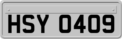 HSY0409