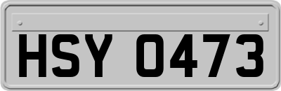 HSY0473