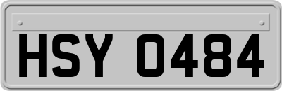 HSY0484