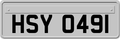 HSY0491