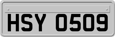 HSY0509