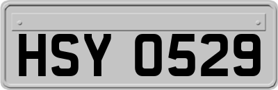 HSY0529