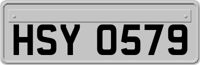 HSY0579