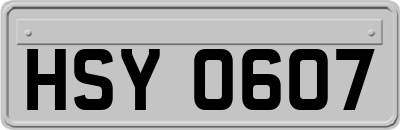 HSY0607
