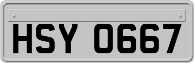 HSY0667