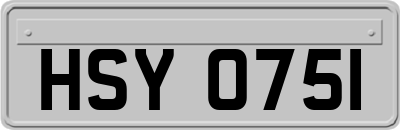 HSY0751