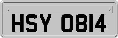 HSY0814