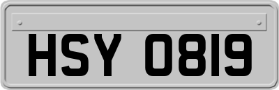 HSY0819
