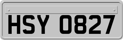 HSY0827