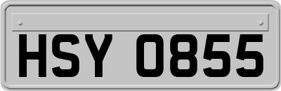 HSY0855