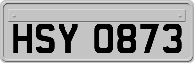 HSY0873