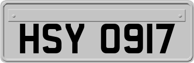 HSY0917
