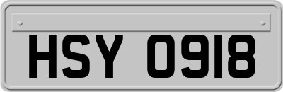 HSY0918