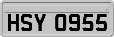 HSY0955