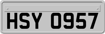 HSY0957