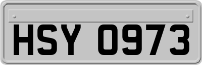 HSY0973