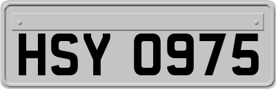 HSY0975