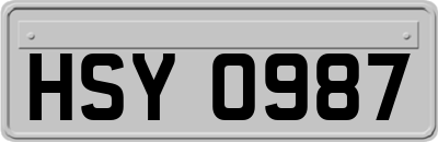 HSY0987