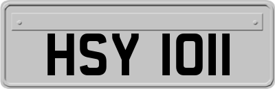 HSY1011