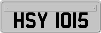 HSY1015