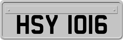 HSY1016