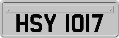 HSY1017