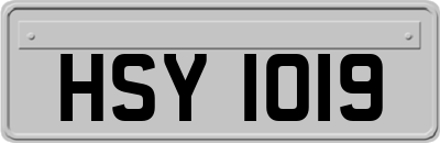 HSY1019